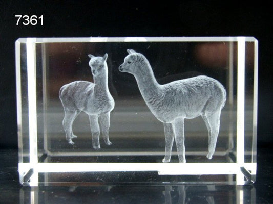Alpaca glasblokje