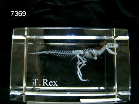 T-rex skelet glasblokje