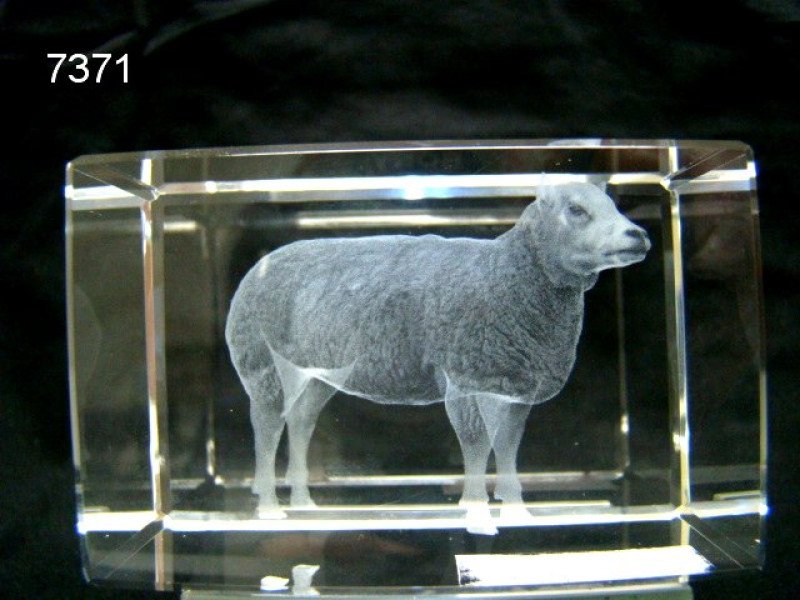 Schaap glasblokje
