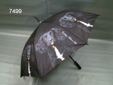 Cocker spaniel paraplu