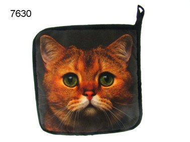 Poes pannenlap