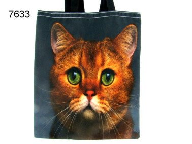 Poes boodschappentas