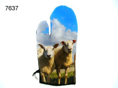 Schaap ovenwant