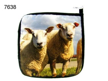 Schaap pannenlap