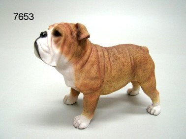 Bulldog, 16 cm