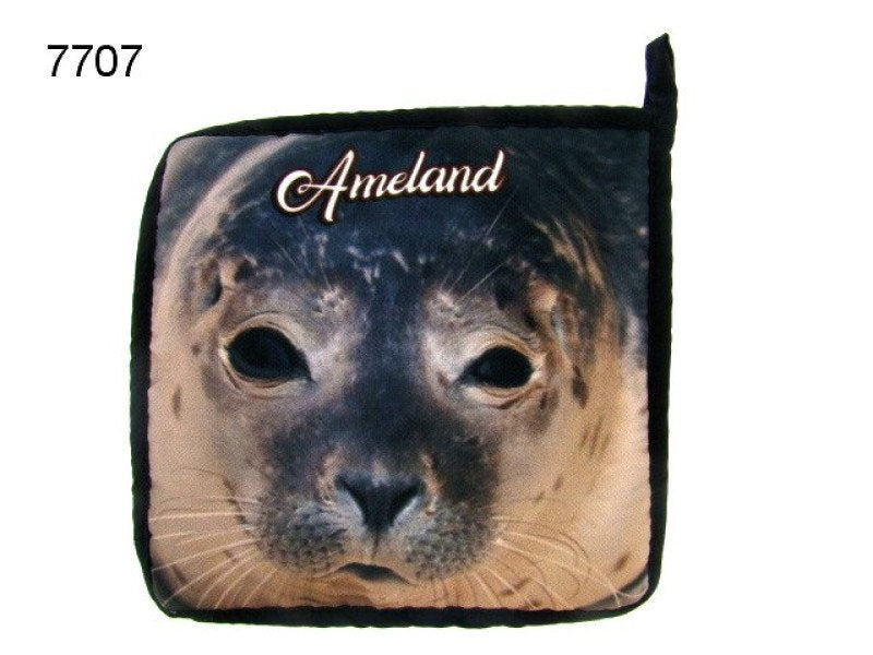 Ameland pannenlap