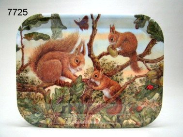 Eekhoorn dienblad middelgroot
