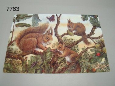Eekhoorn placemat