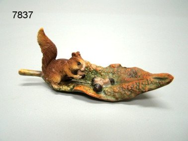 Eekhoorn op blad