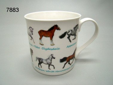 Paardenrassen mok
