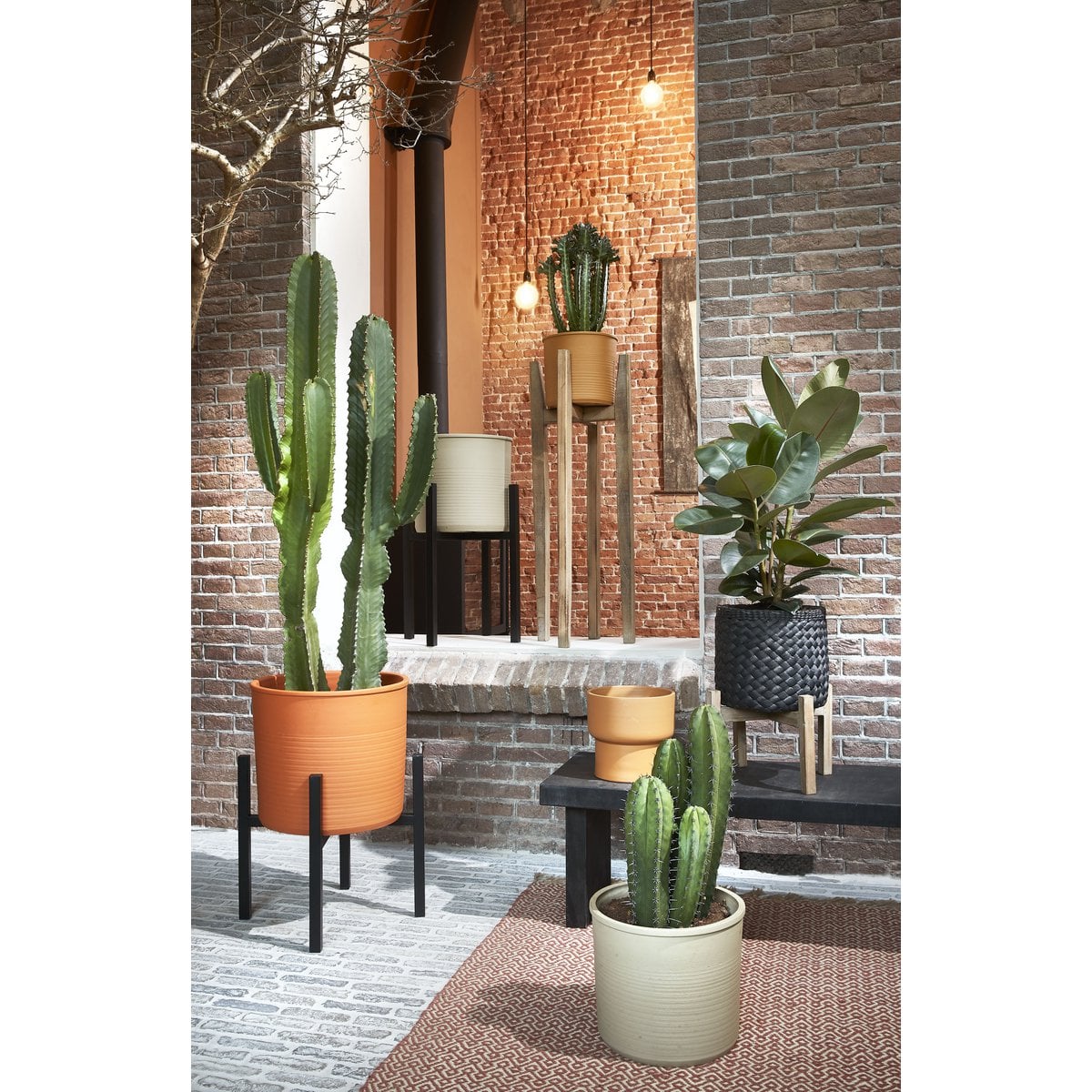 Ascot plantenstandaard, zwart, 45,5 × 45,5 × 40 cm