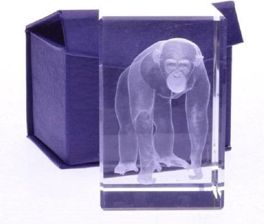 Chimpansee glasblokje