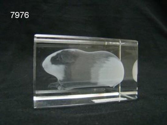 Cavia glasblokje