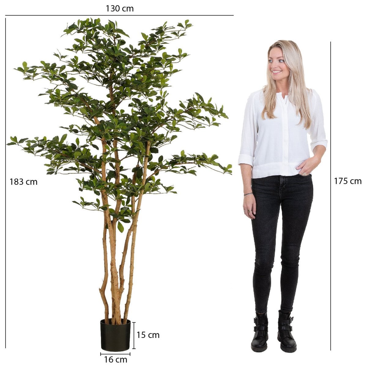 Olijfboom kunstplant, 183 cm