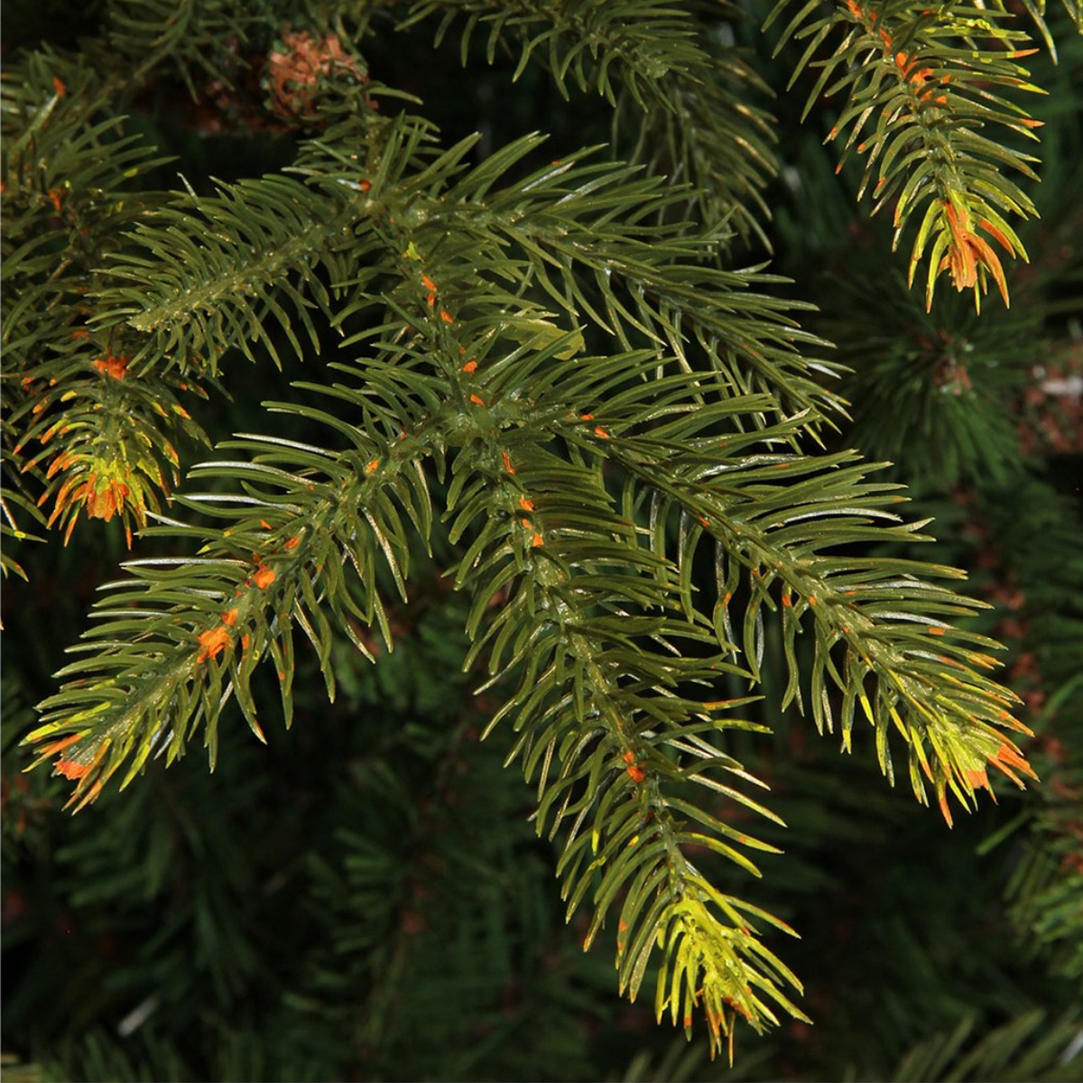 Vancouver kunstkerstboom, 155 cm
