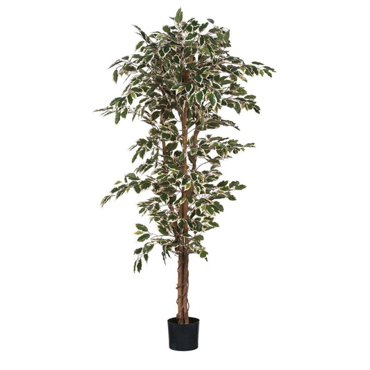 Ficus kunstplant, 180 cm