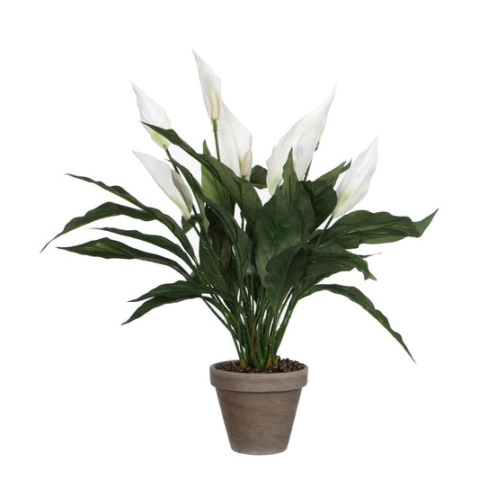 Spathiphyllum kunstplant, 50 cm