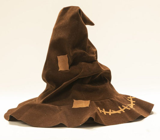 Harry Potter pratende sorteerhoed bouwset, 20 x 20 x 18,2 cm