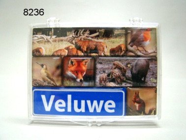Veluwe magneetset in doosje