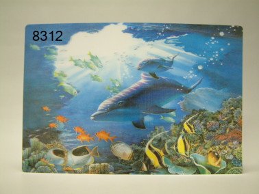 Dolfijn placemat