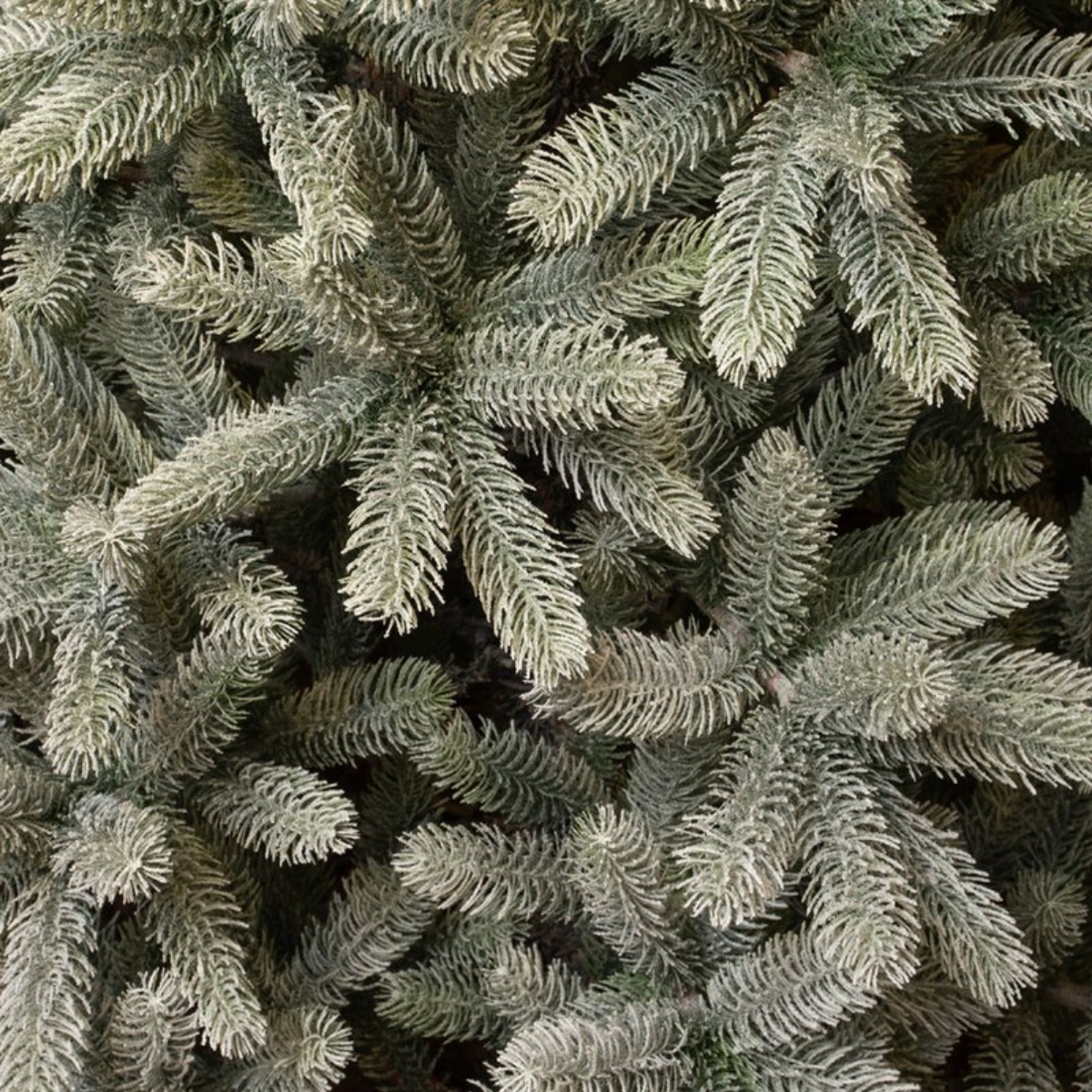 Nagoya besneeuwde kunstkerstboom, 240 cm, Ø 138 cm