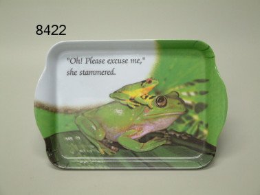 Kikker dienblad, klein