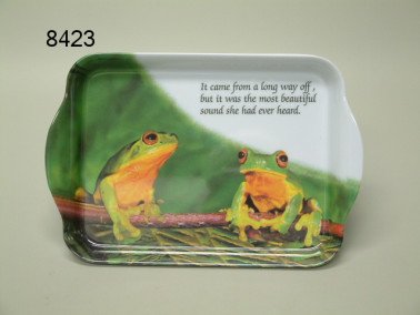 Kikker dienblad, klein