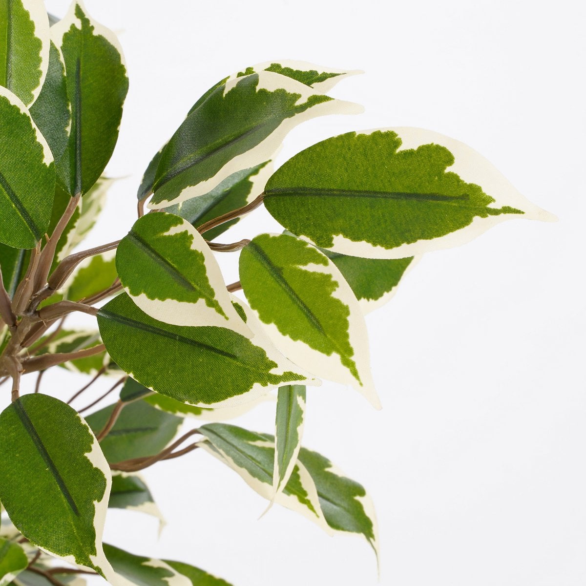 Ficus Natasja kunstplant, 40 cm