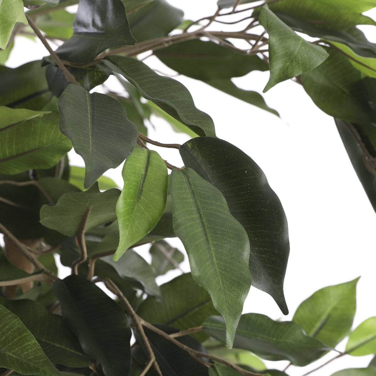 Ficus kunstplant, 150 cm