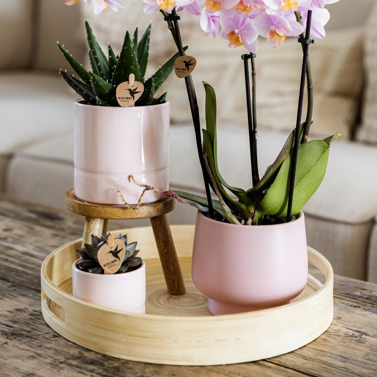 Houten plantenstandaard, Ø 12 cm, 10,5 cm hoog