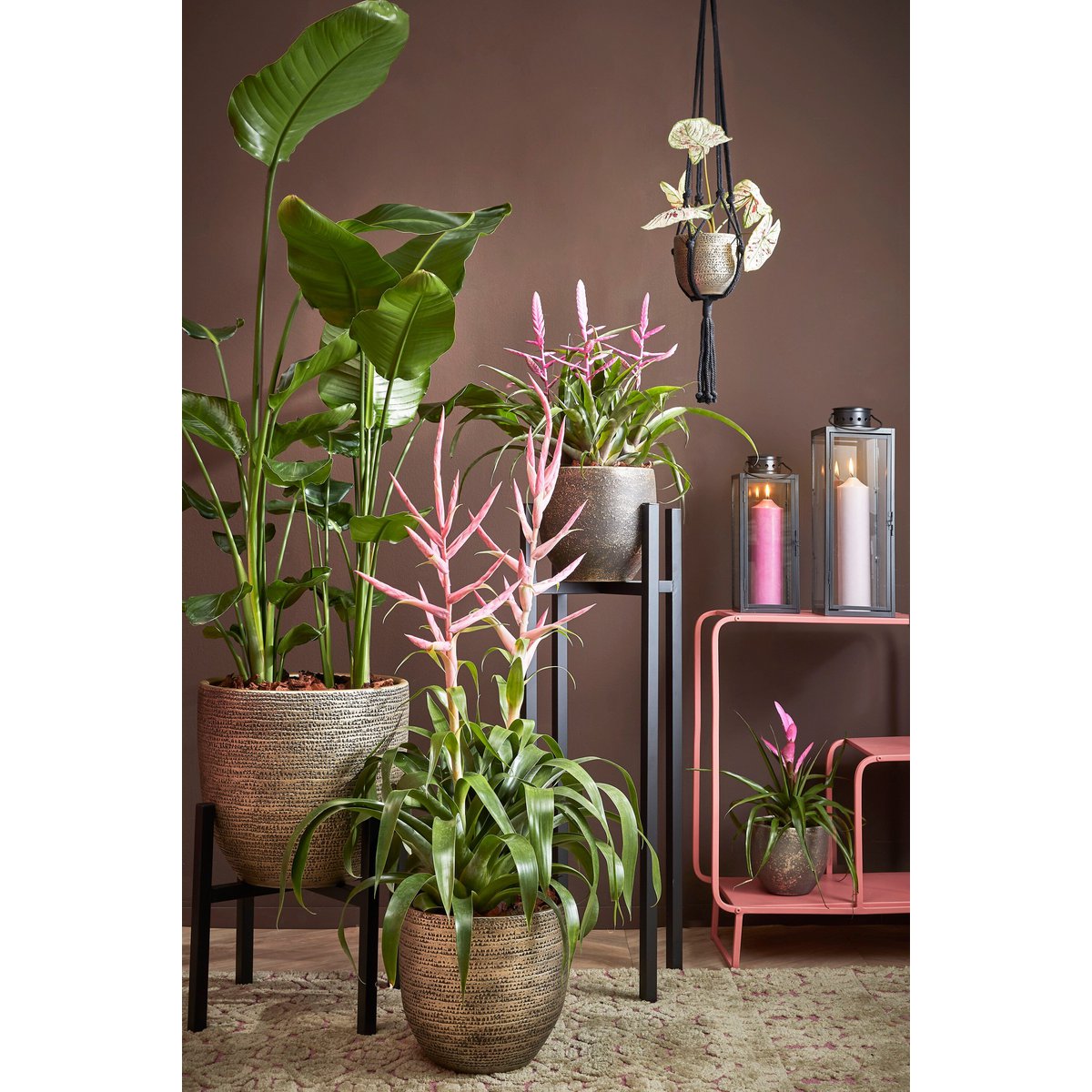 Ascot plantenstandaard XL, zwart, 37.5 × 37.5 × 95 cm
