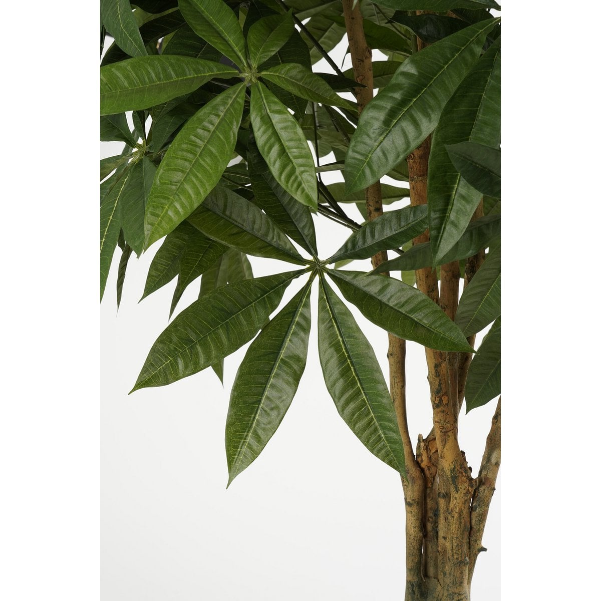 Pachira kunstplant, 150 cm