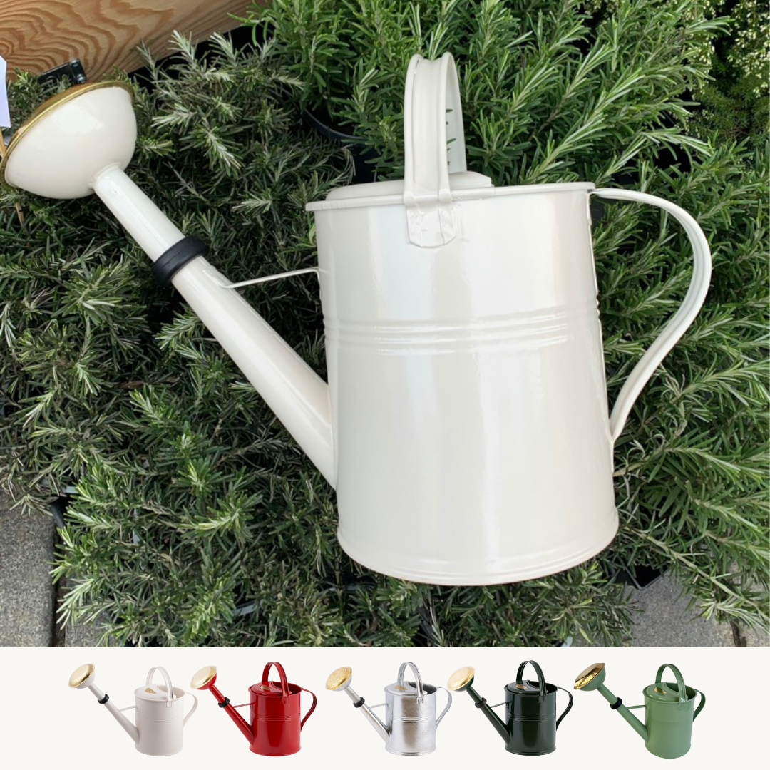 Metalen gieter, 5 liter, diverse kleuren