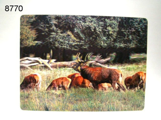 Edelhert 3D placemat