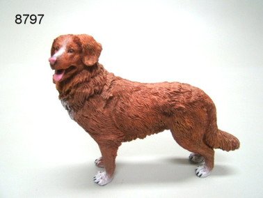 Nova Scotia Duck Tolling Retriever, 14,5 cm