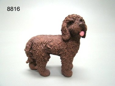 Labradoodle, 12 x 11,5 cm