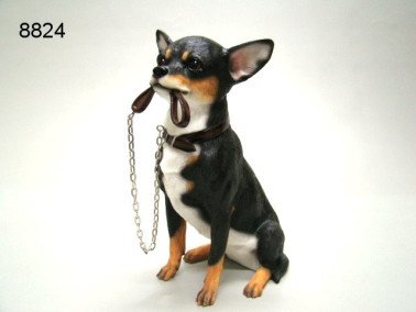 Chihuahua met riem, 18 cm