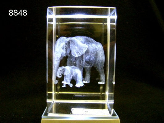 Indische olifant glasblokje