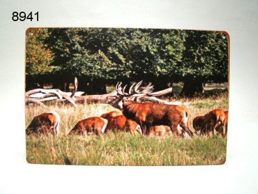 Edelhert metalen wandplaat, 20 x 30 cm