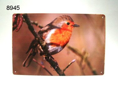 Roodborst metalen wandplaat, 20 x 30 cm