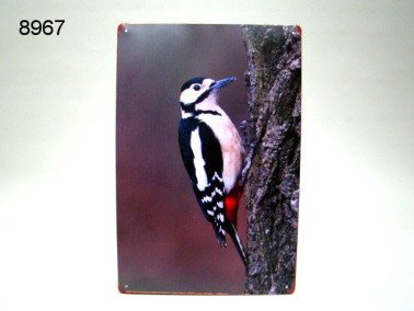 Specht metalen wandplaat, 20 x 30 cm