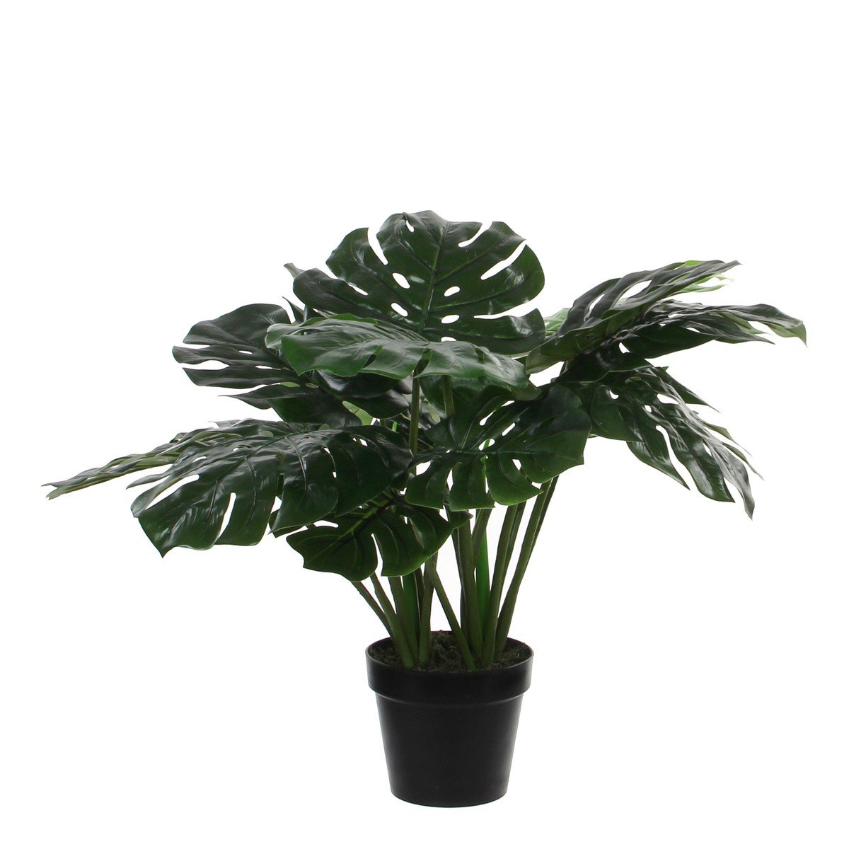 Monstera kunstplant, groen, 80 × 80 × 60 cm
