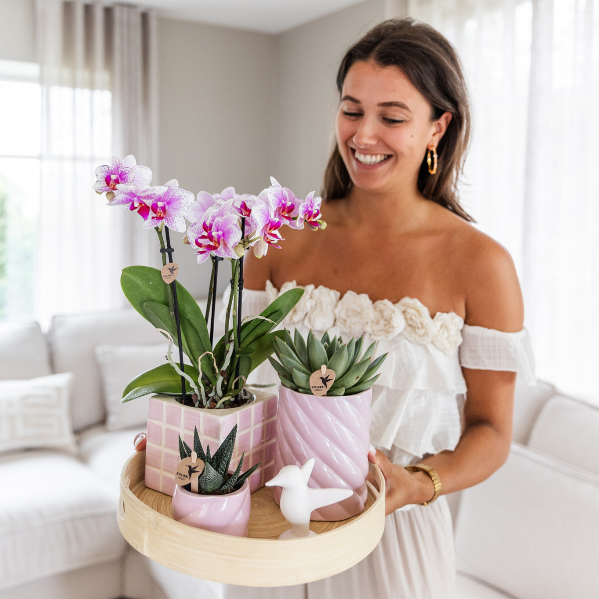 Roze Phalaenopsis orchidee Rotterdam, 45 cm, potmaat Ø 9 cm