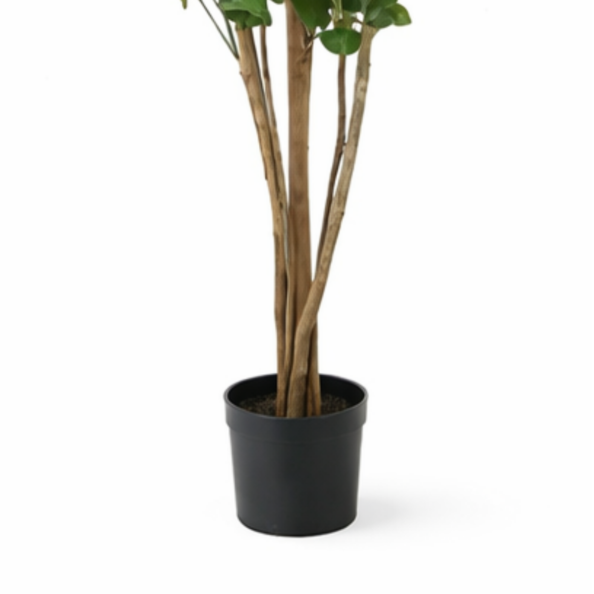Eucalyptus kunstplant, 175 cm