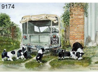 Farnyard frolics wenskaart, 14 x 20 cm