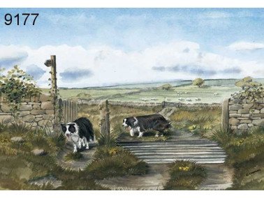 Coming home wenskaart, 14 x 20 cm