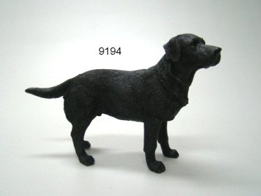 Labrador, 17,5 cm