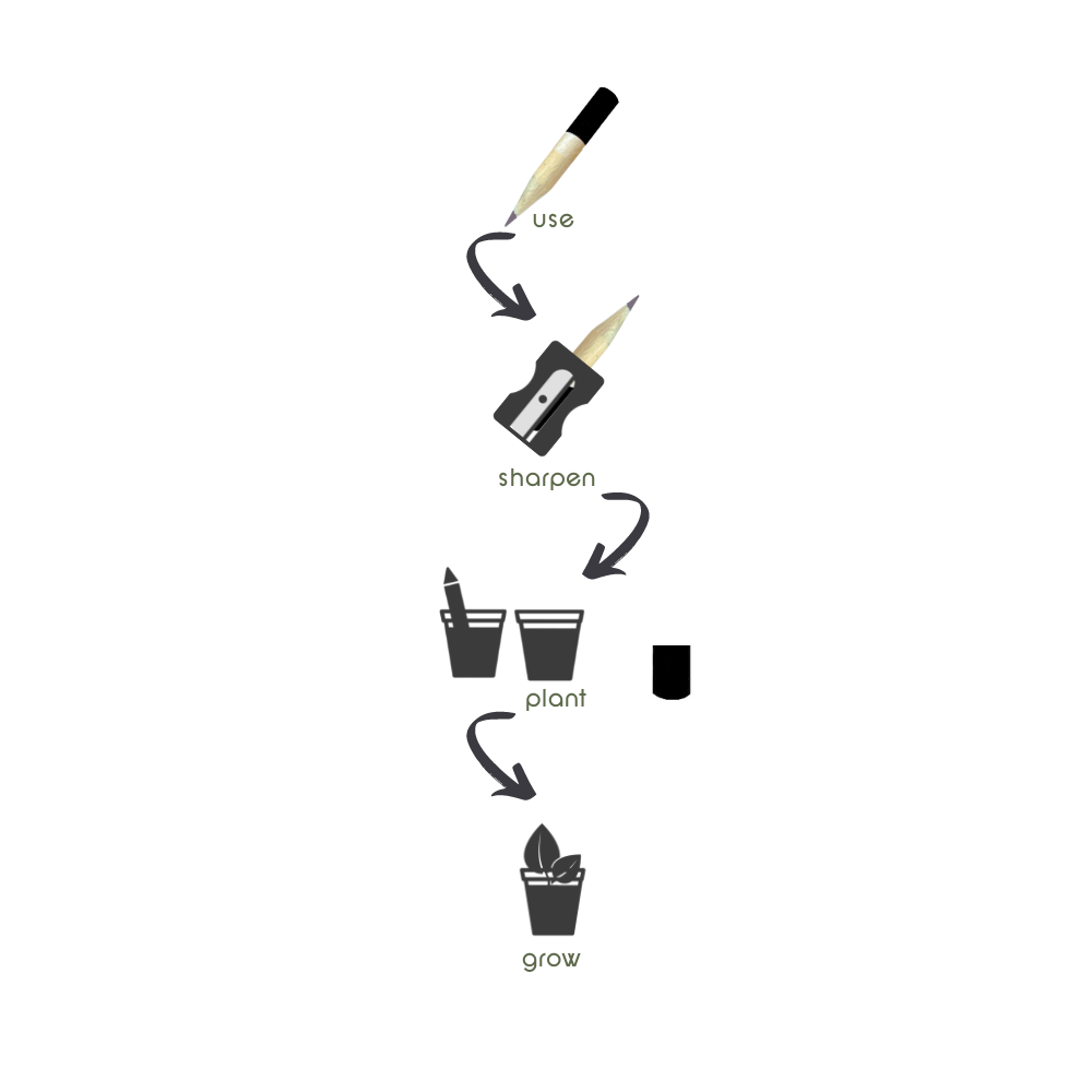 Seedz bloeipotlood munt, plantbaar potlood met zaden, 4 stuks