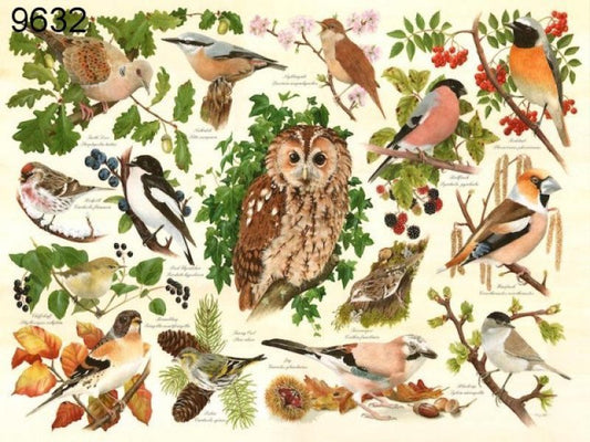 Woodland birds, 500 XL stukjes