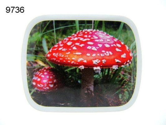 Paddenstoel rood, blikje met pepermunt
